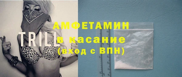 сатива Богданович