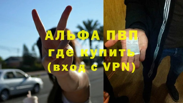 сатива Богданович