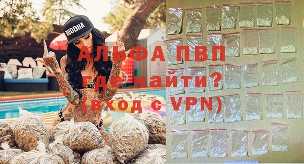 сатива Богданович