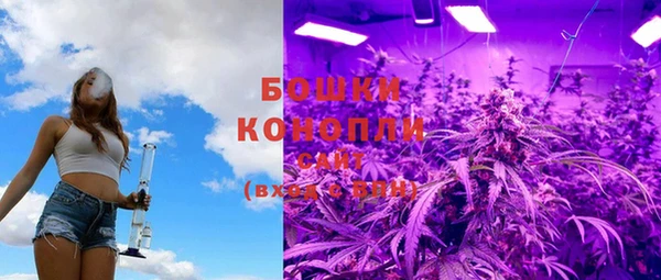 сатива Богданович