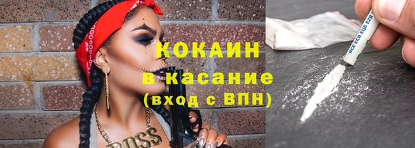 сатива Богданович